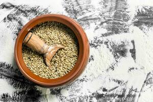 Wheat grains with a scoop in a bowl. photo