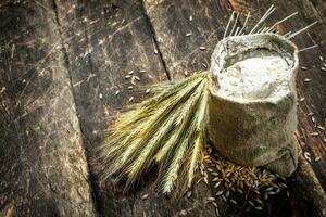 bag of flour and spikelets of wheat. photo