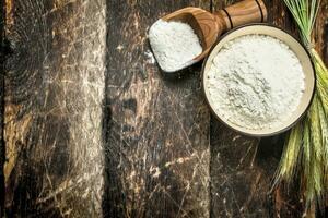 Flour in a bowl. photo