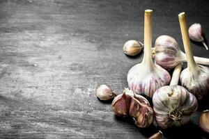 Fresh spicy garlic. On black chalkboard. photo