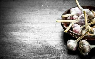 Fresh garlic peaces in a bowl. photo