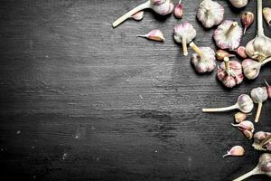 Fresh spicy garlic. On black chalkboard. photo