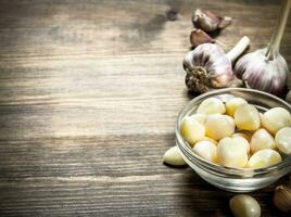 Peeled slices of garlic in a bowl. photo