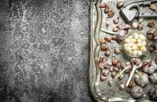 Fresh garlic on a steel tray with a press tool. photo