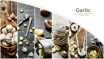 Food collage of garlic. photo