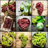 Food collage of red and white grapes. photo