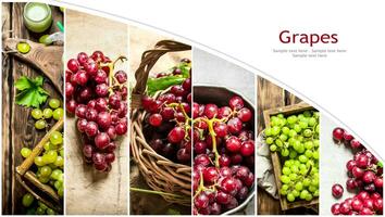 Food collage of red and white grapes. photo