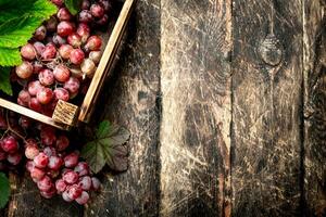 Red grapes in an old box. photo