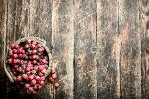 Red grapes in a wooden bucket. photo