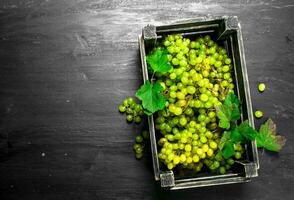 Green grapes in a box. photo