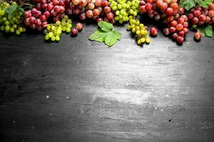 Fresh harvest of red and green grapes. photo