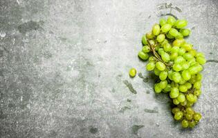 bunch of green grapes. photo