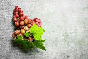 bunch of red grapes. photo