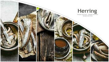 Food collage of herring . photo