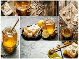 Food collage of honey. photo