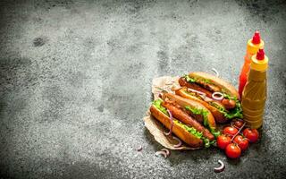 Fast food menu. Hot dogs beef barbecue with herbs , ketchup and hot mustard. photo
