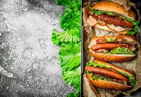 Street food. Hot dogs beef barbecue with hot sauces. photo