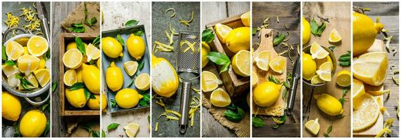 Food collage of fresh lemon. photo