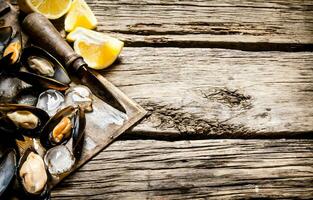 Clams with lemon and ice on a wooden Board. photo