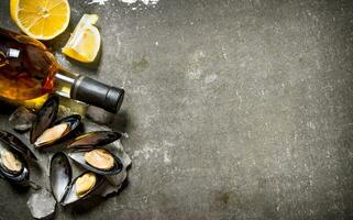 Clams with wine and lemon. On stone table. photo