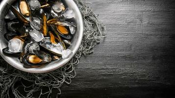 Clams in the bowl with the net. On black wooden background. photo