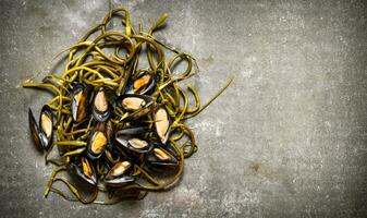 Fresh clams with wild garlic. On stone table. photo