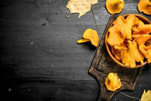 Fresh chanterelle mushrooms in a bowl. photo