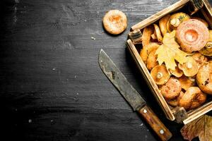 Fresh mushrooms in a box. photo