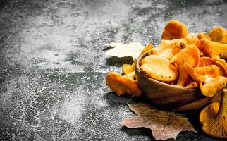 Fresh chanterelle mushrooms in a bowl. photo