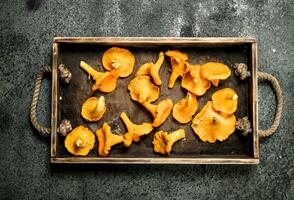 Fresh mushrooms chanterelle on a wooden tray. photo