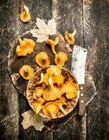 Mushrooms chanterelle in the basket. photo