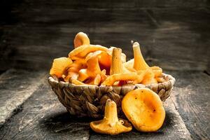 Mushrooms chanterelle in the basket. photo