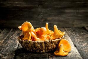 Mushrooms chanterelle in the basket. photo