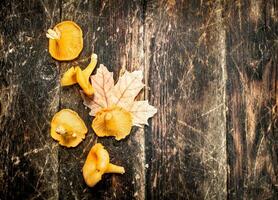 Mushrooms fresh chanterelle. photo