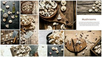 Food collage of mushrooms. photo