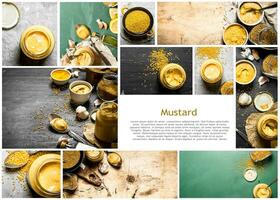 Food collage of mustard. photo