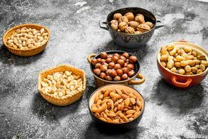 A lot of nuts in different bowls. photo