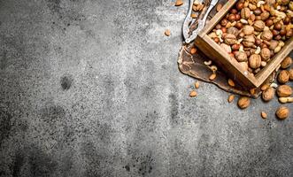 Various nuts in an old box and nutcracker. photo