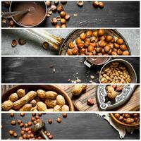 Food collage of nuts. photo