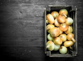 Fresco cebollas en un antiguo caja. foto