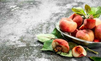 Fresh peaches in a bowl . photo