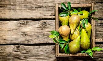 Fresh pears in an old box with leaves. photo