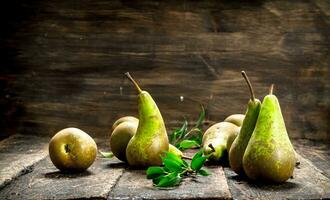 Fresh pears with leaves. photo