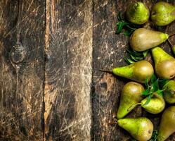 Fresh pears with leaves. photo