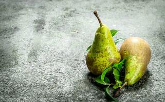 Ripe pears with leaves. photo