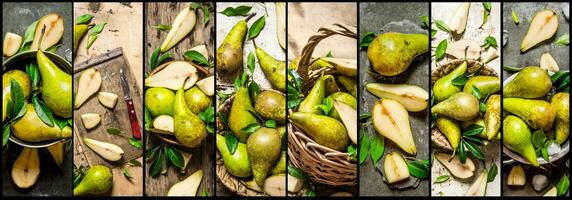 Food collage of fresh pears. photo