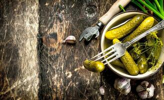 Pickled cucumbers with herbs and spices. photo