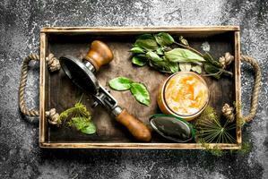 Marinated cabbage with herbs and seamer on a tray. photo