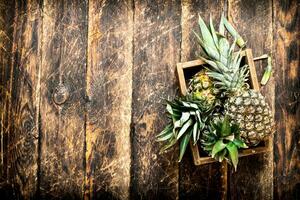 Fresh pineapple in an old box. photo