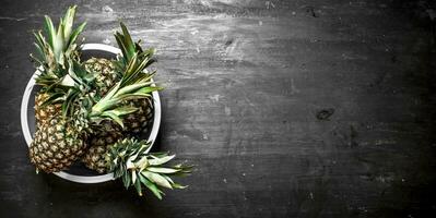 Fresh pineapple in a bowl. photo